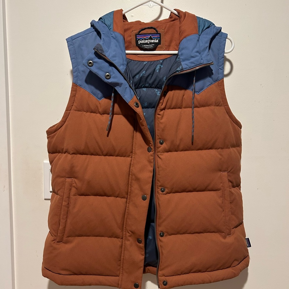 Patagonia Hooded Bivy Puffer Vest